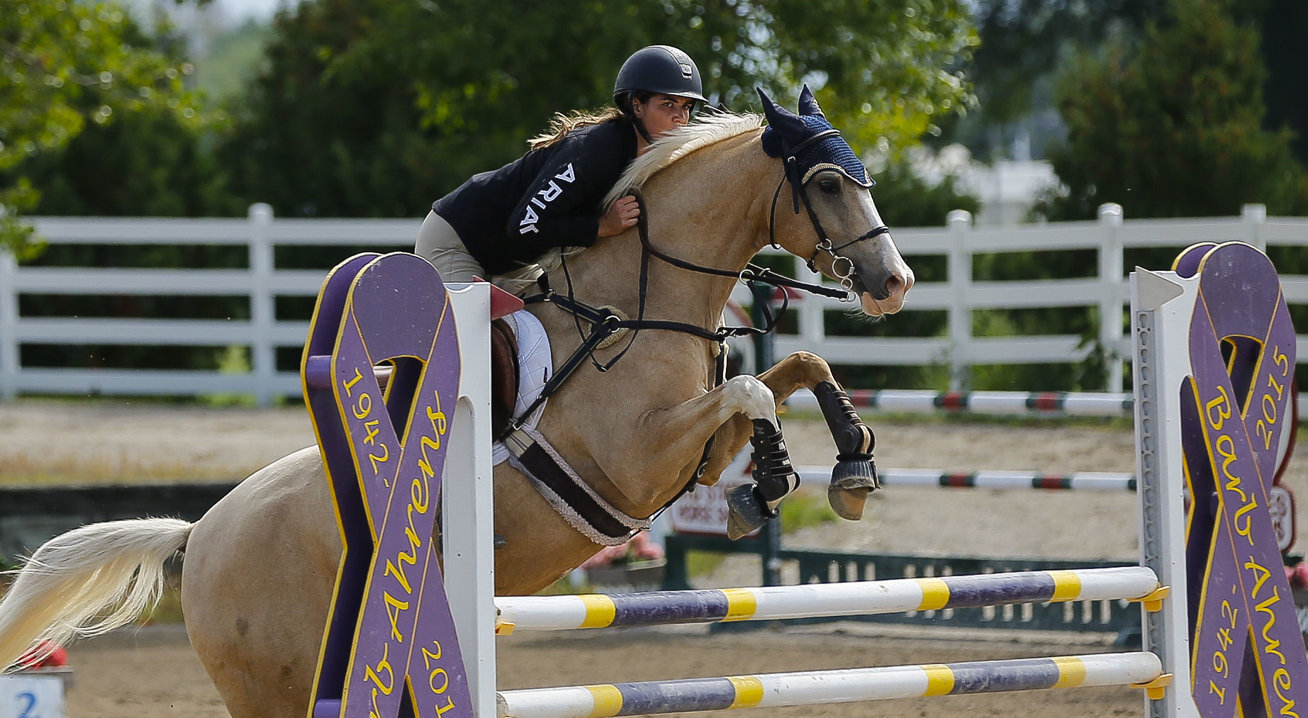 Midstates Horse Show 17